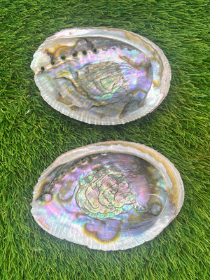 natural abalone shell smudge